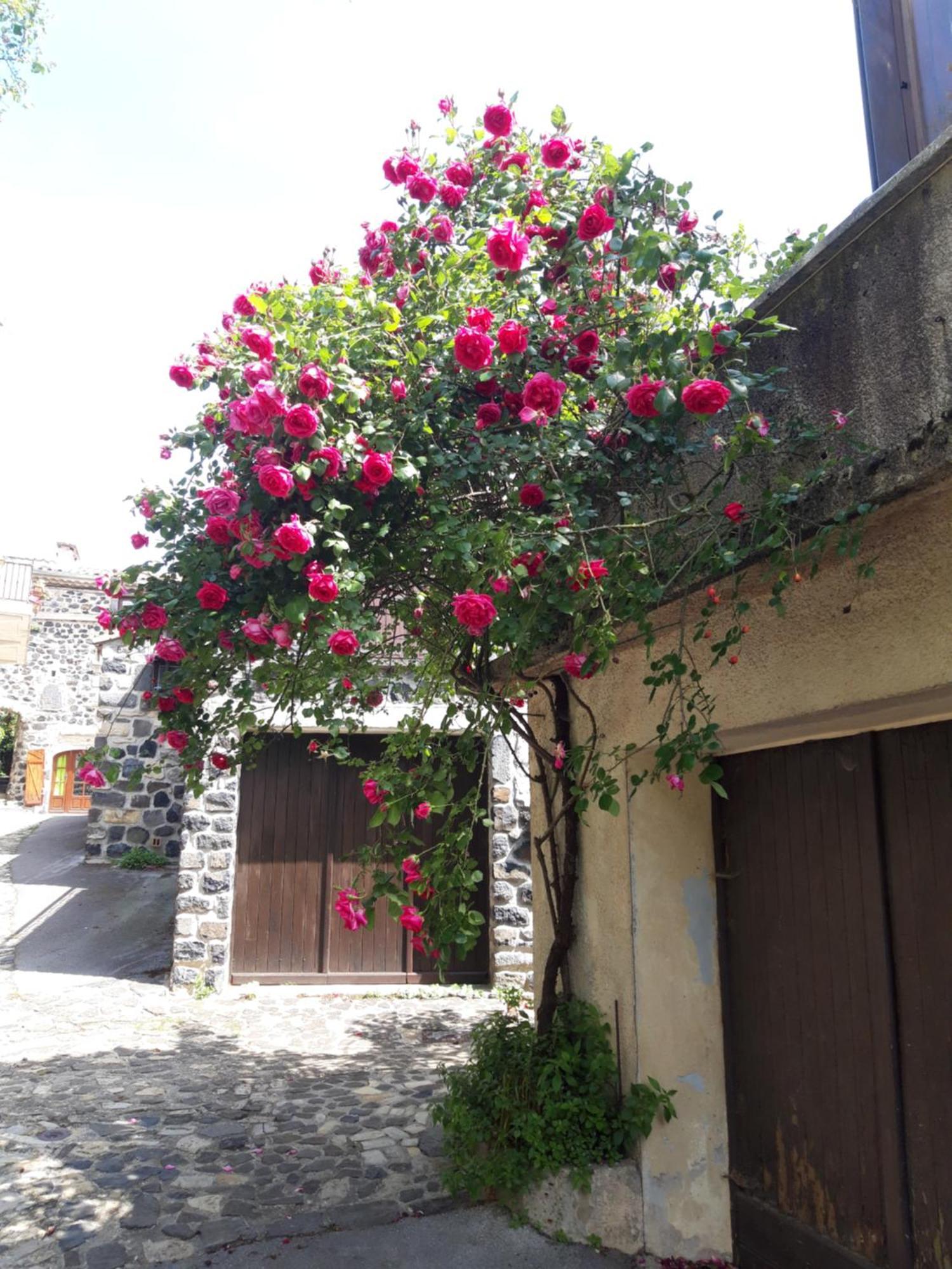 Le Cocon Villa Lussas Kültér fotó